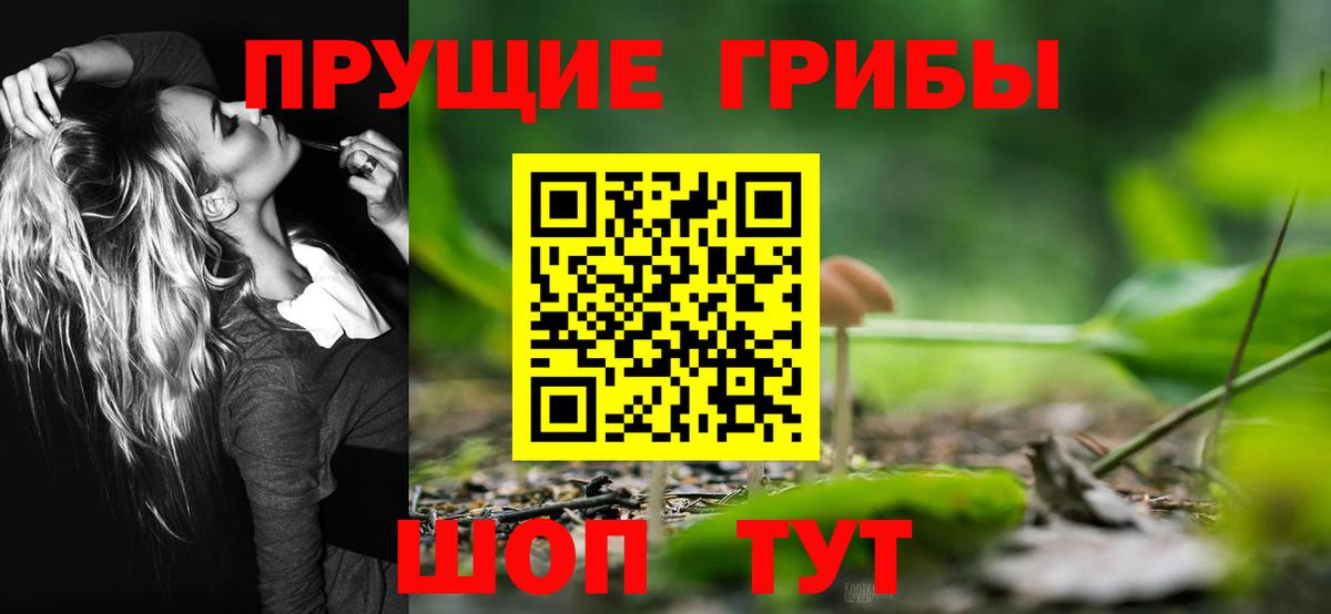 Псилоцибиновые грибы Magic Shrooms Алатырь