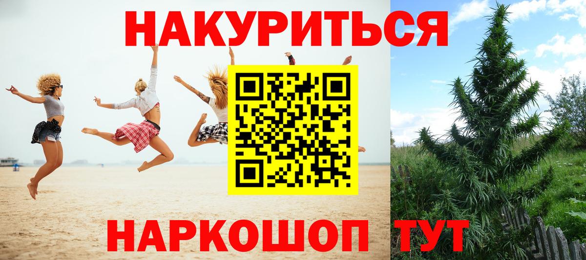 Канабис OG Kush Алатырь